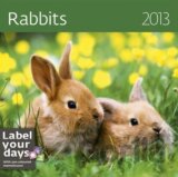 Rabbits 2013