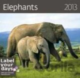 Elephants 2013
