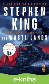 Dark Tower III