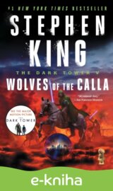 Dark Tower V
