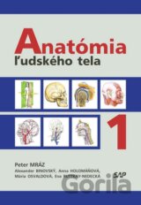 Anatómia ľudského tela I.