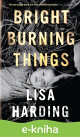 Bright Burning Things