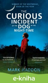 The Curious Incident of the Dog in the Night-time