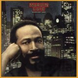 Marvin Gaye: Midnight Love