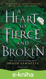 A Heart So Fierce and Broken