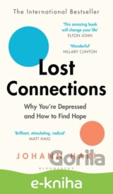 Lost Connections