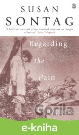 Regarding the Pain of Others