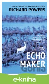 The Echo Maker