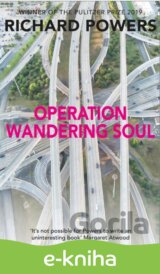 Operation Wandering Soul