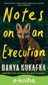 Notes on an Execution