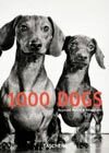 1000 Dogs