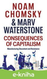 Consequences of Capitalism
