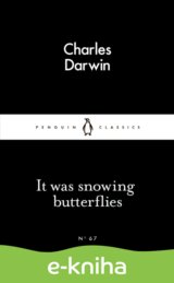It Was Snowing Butterflies