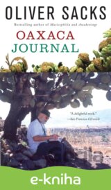 Oaxaca Journal