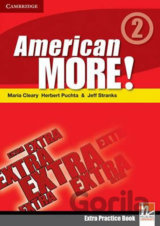American More! Level 2: Extra Practice Book