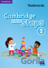 Cambridge Little Steps 2: Flashcards