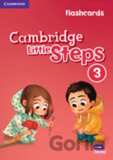 Cambridge Little Steps 3: Flashcards