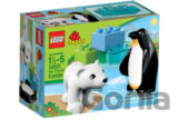 LEGO Duplo 10501 Lego Ville Zoo kamaráti