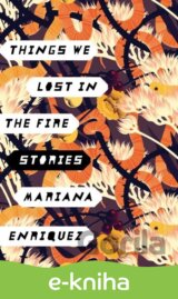 Things We Lost in the Fire