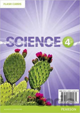 Big Science 4: Flashcards