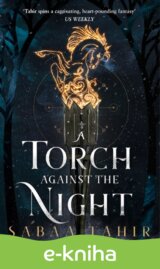 A Torch Against the Night