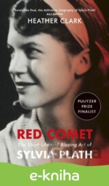 Red Comet