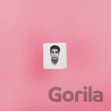 Gang Of Youths: Angel in Realtime (Indie) LP