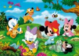 24 Maxi Disney Baby
