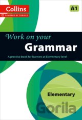 Work on Your Grammar A1