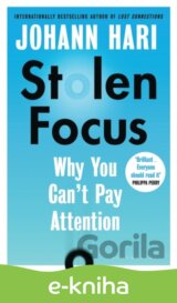Stolen Focus