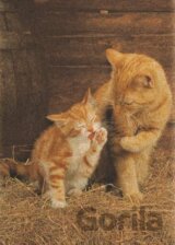 Ginger Cats