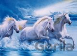 Majestic Stallion