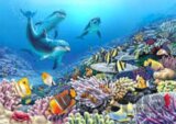 Reef Pals