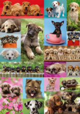 Puppies Collage
