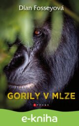 Gorily v mlze