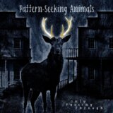 Pattern-Seeking Animals: Only Passing Through (HQ) LP