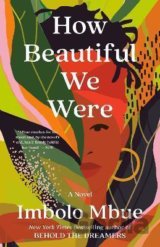 How Beautiful We Were: A Novel