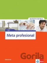 Meta Profesional  2 (B1) – Soluciones