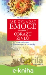 Jak zvládat emoce pomocí obrazů živlů