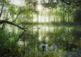 Stefan Hefele, Homeland jungle