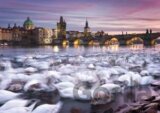 Prague, Swans