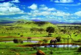 Tsavo National Parc, Kenya
