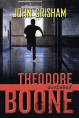 Theodore Boone: Obžalovaný