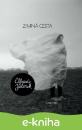 Zimná cesta