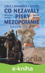 Co nezavály písky Mezopotámie