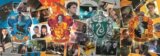 Harry Potter: Čtyři bradavické koleje