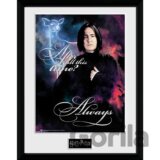 Harry Potter Zarámovaný plagát - Snape Always