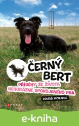 Černý Bert - příběhy ze života nehorázně spokojeného psa
