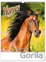 Nástěnný kalendář Horses 2023