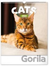 Nástěnný kalendář Cats 2023